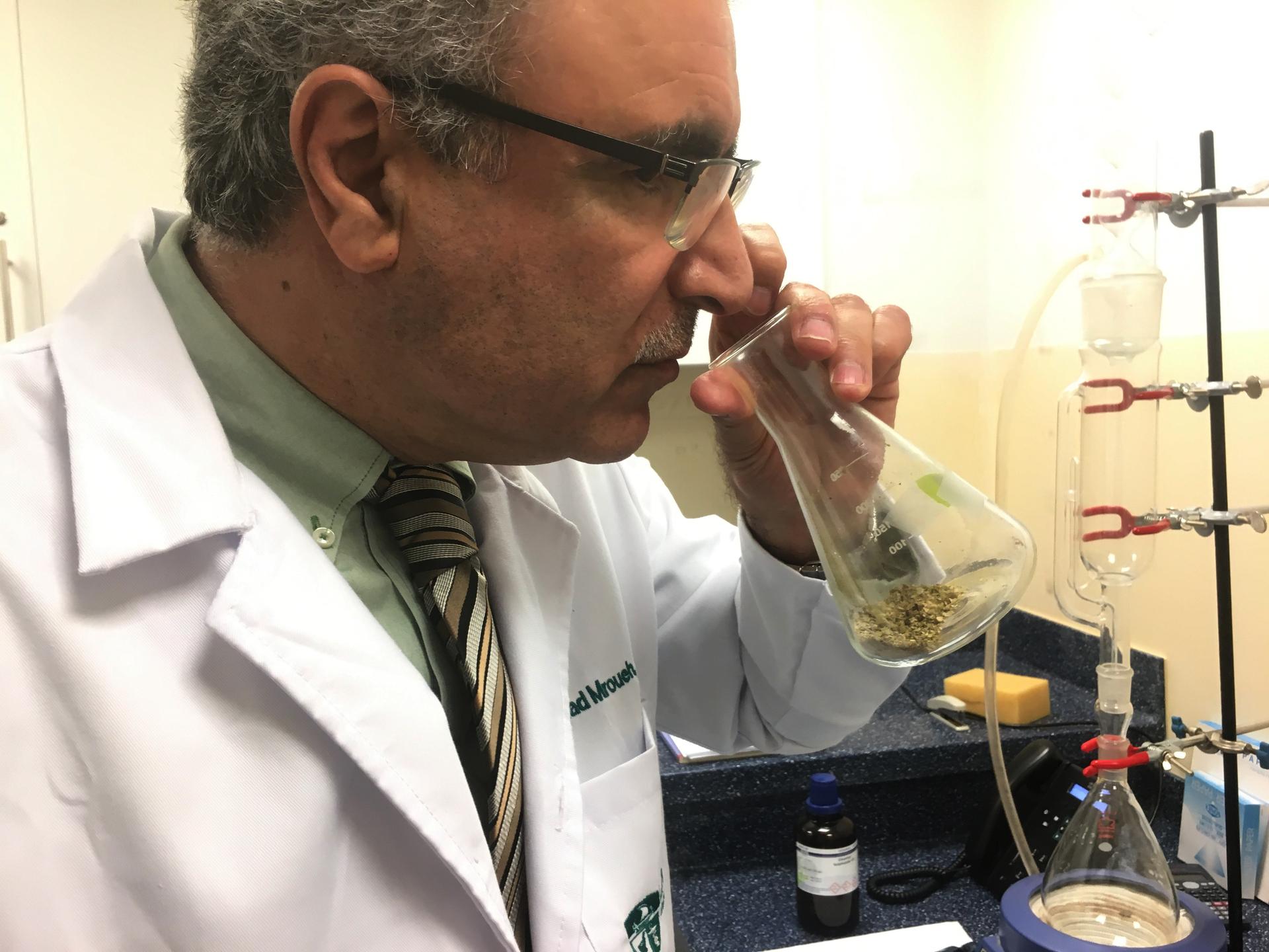 a man in a lab coat smelling cannabis from a. test tube