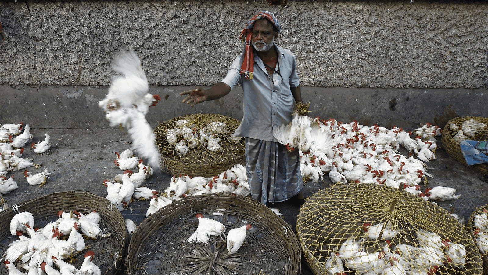 a vendor at a poultry market in India