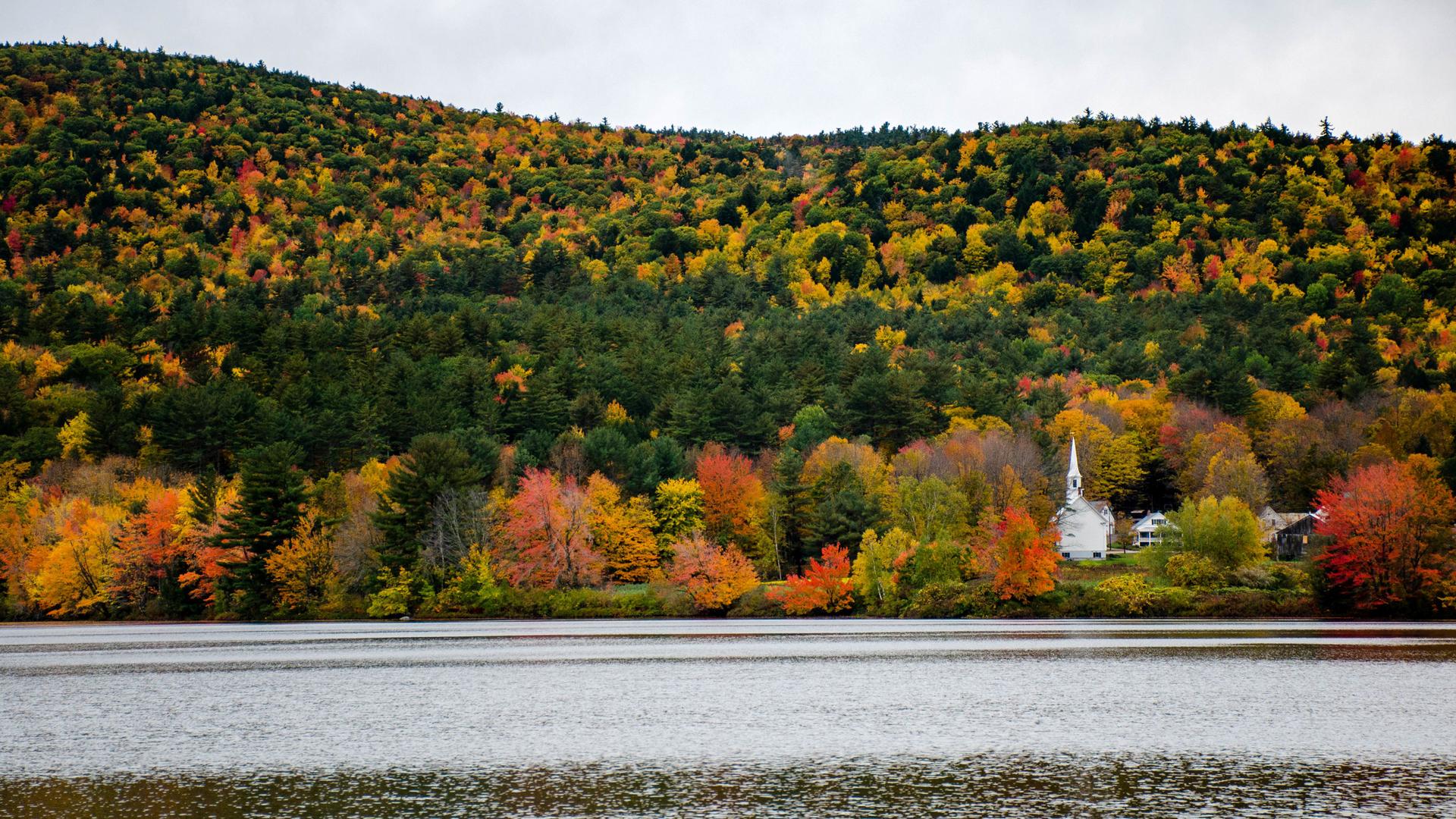 Fall leaves cover a hill above a river.