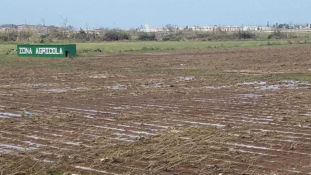 Crops were damaged in Puerto Rico