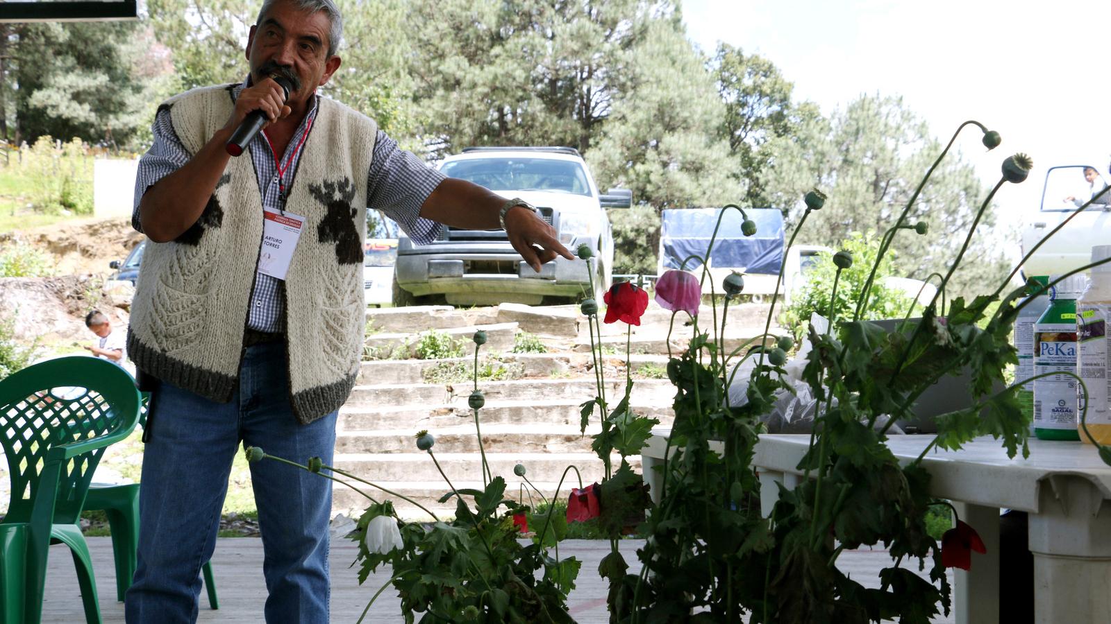 A poppy farmer stands in front of a poppy plant and talks with a mic in his hand. 