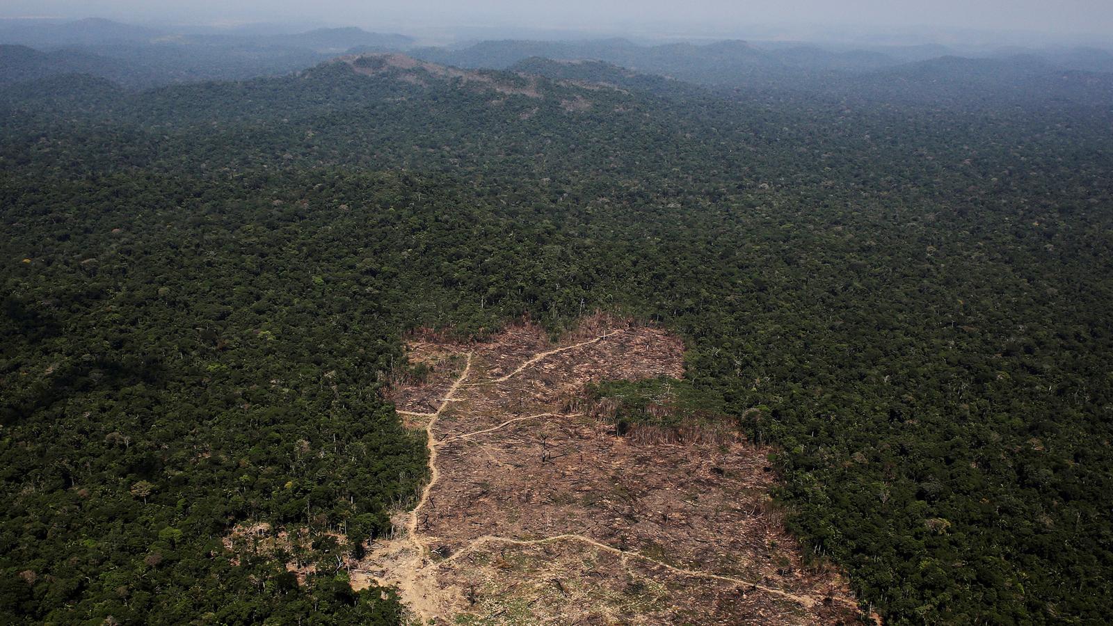 An aerial view of a tract of dry land cleared by loggers and farmers surrounded by green tree tops.