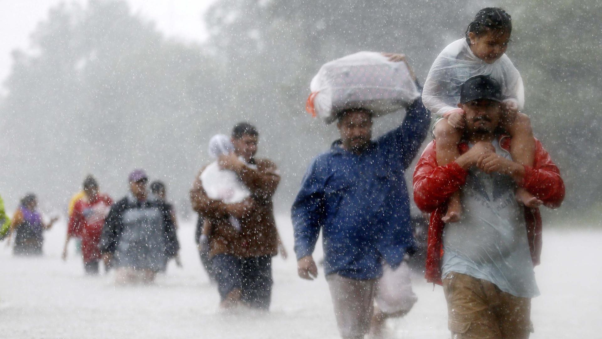 People trudge through knee-high water carrying children and bags. 