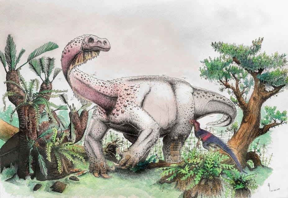 an illustration of a dinosaur