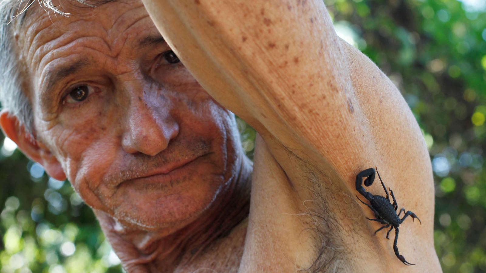 Farmer Pepe Casanas poses with a scorpion near his armpit in Los Palacios, Cuba. 
