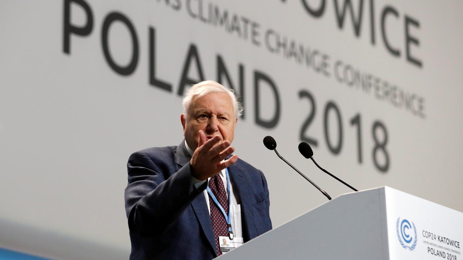 Attenborough speaks at the podium in Poland's climate change talks. 