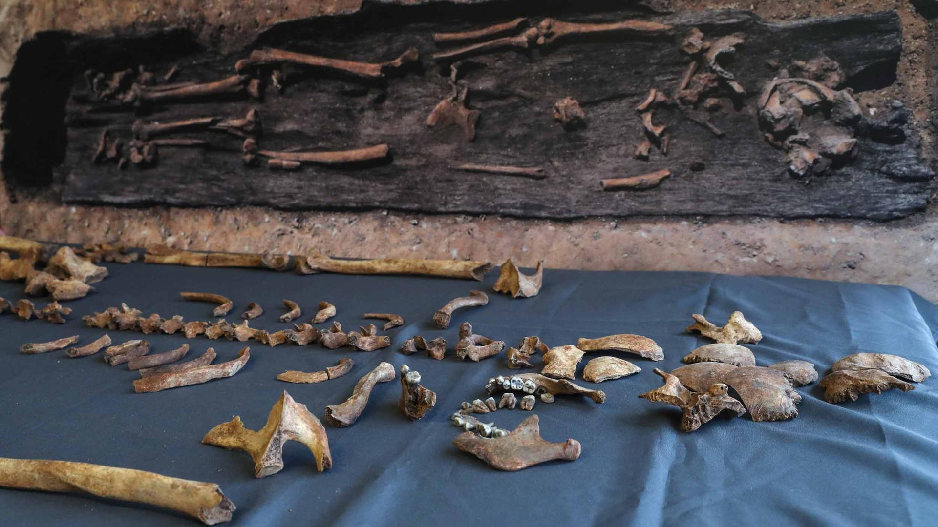 Human bones are laid out on a blue cloth. Behind them is a photo of them in the earth