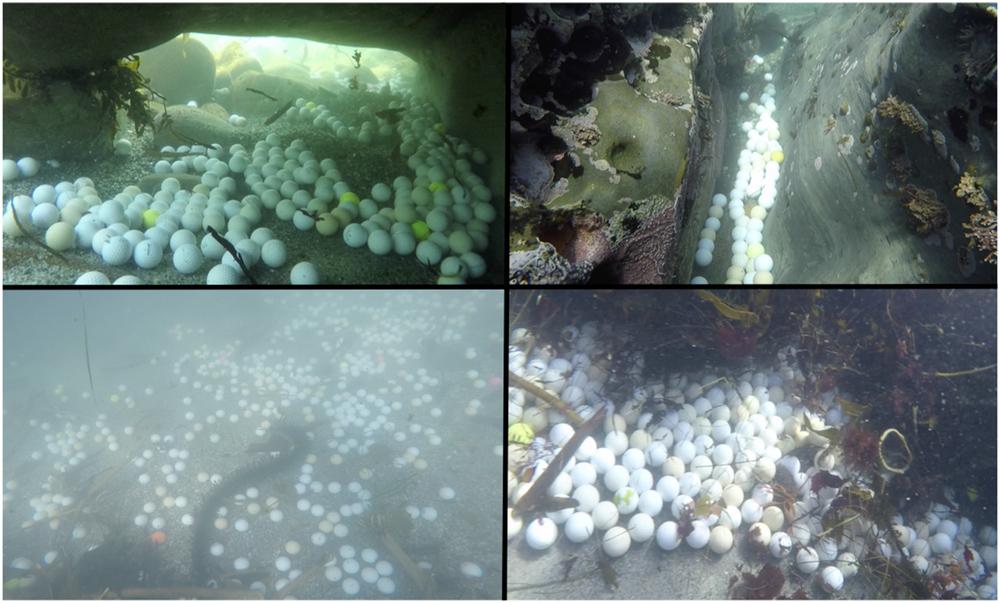 four pictures of golf balls found at the bottom of the ocean