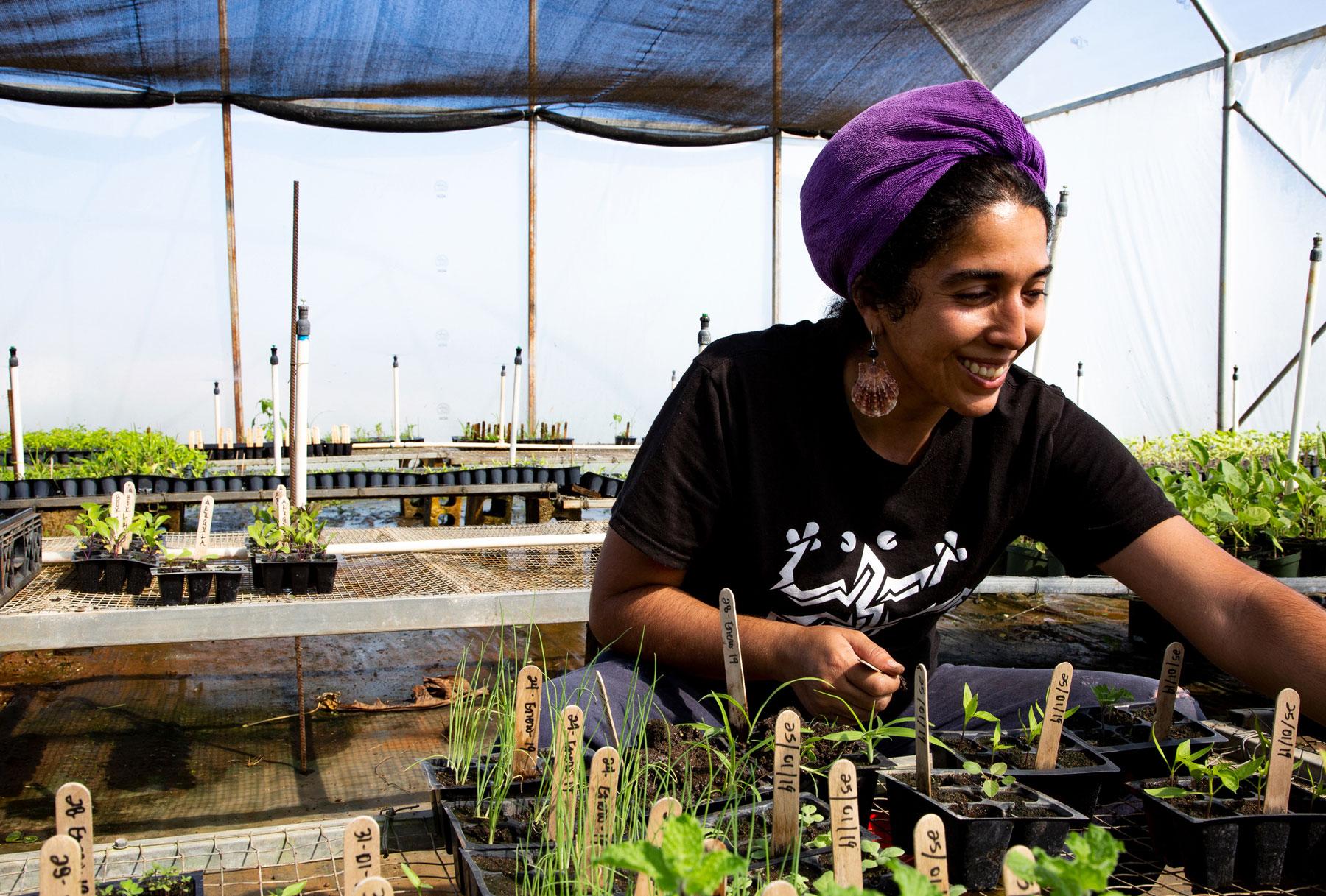 Alexandra Robles is shown in a black shirt leaning over a table transplants seedlings in the greenhouse.