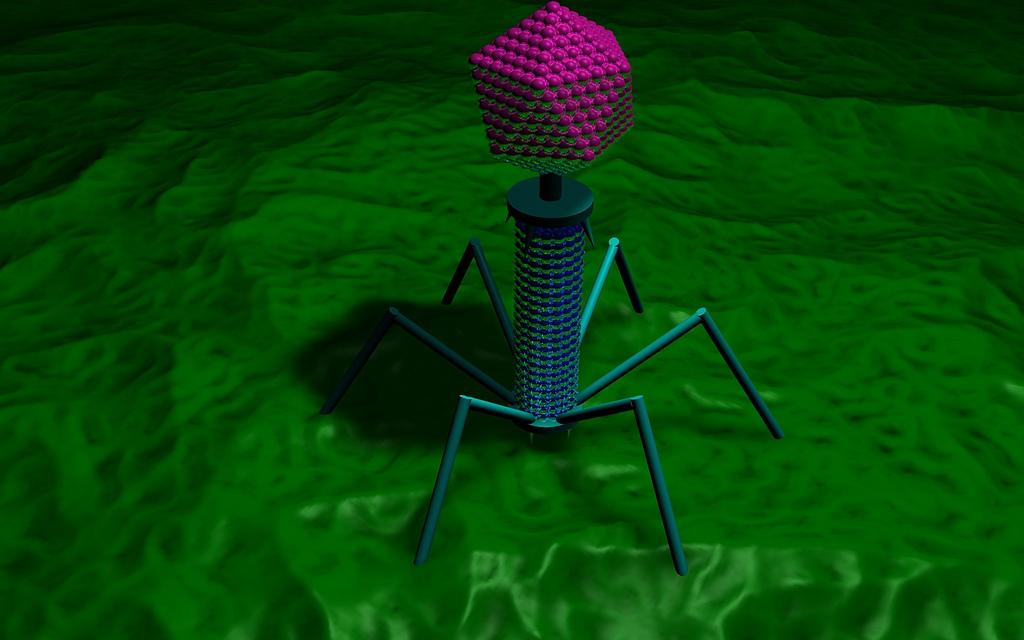 A computer model of a bacteriophage, which looks like a robot bug. 