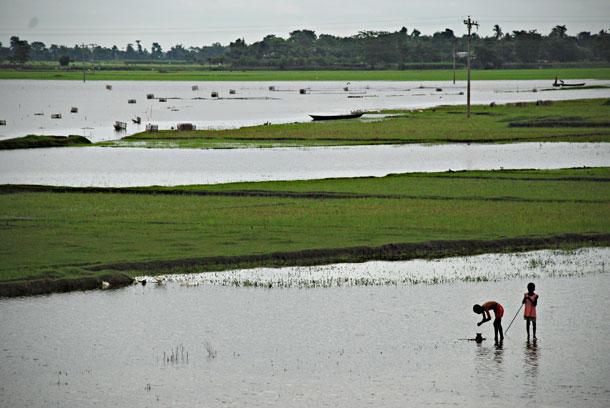 Bangladesh flooded farms. 