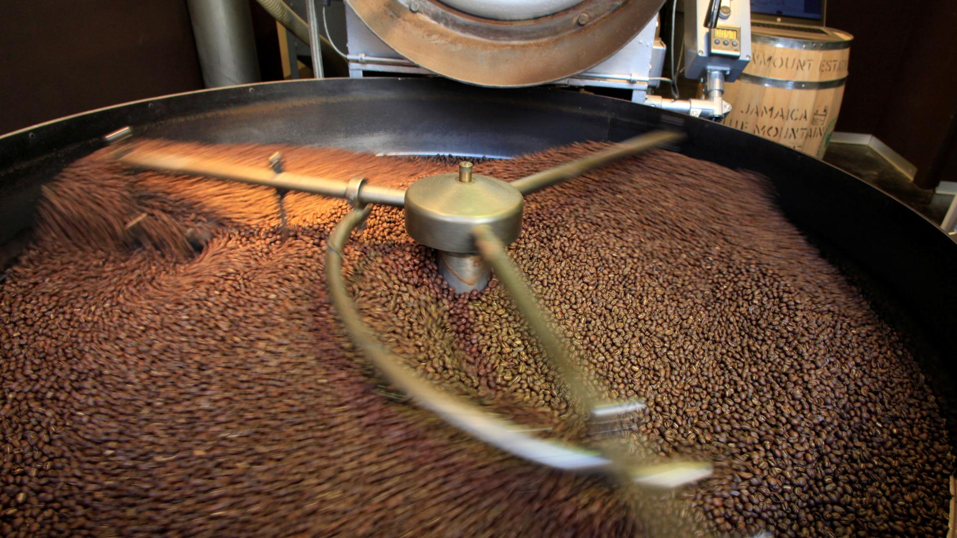 Coffee beans swirl in a large roaster