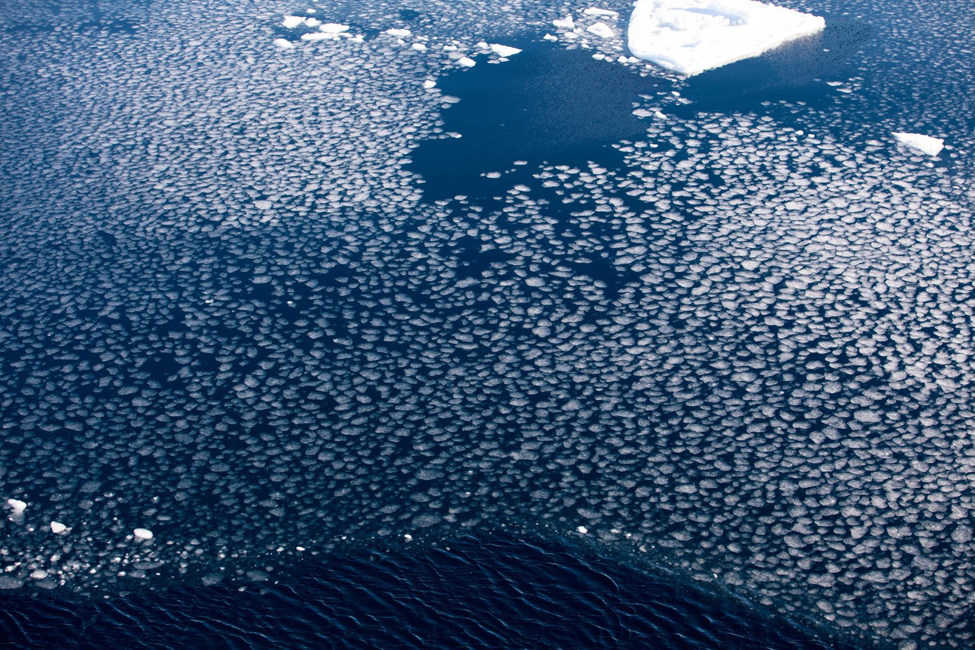 Thousands of circular white pieces of ice are show across the photo.