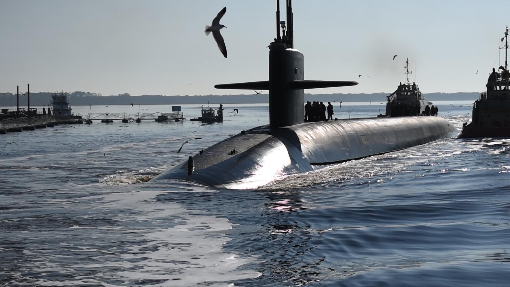 a submarine surfaces with bird flying overhead