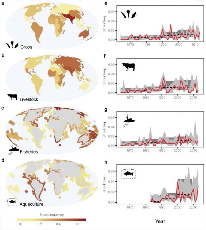 trends in food production shocks