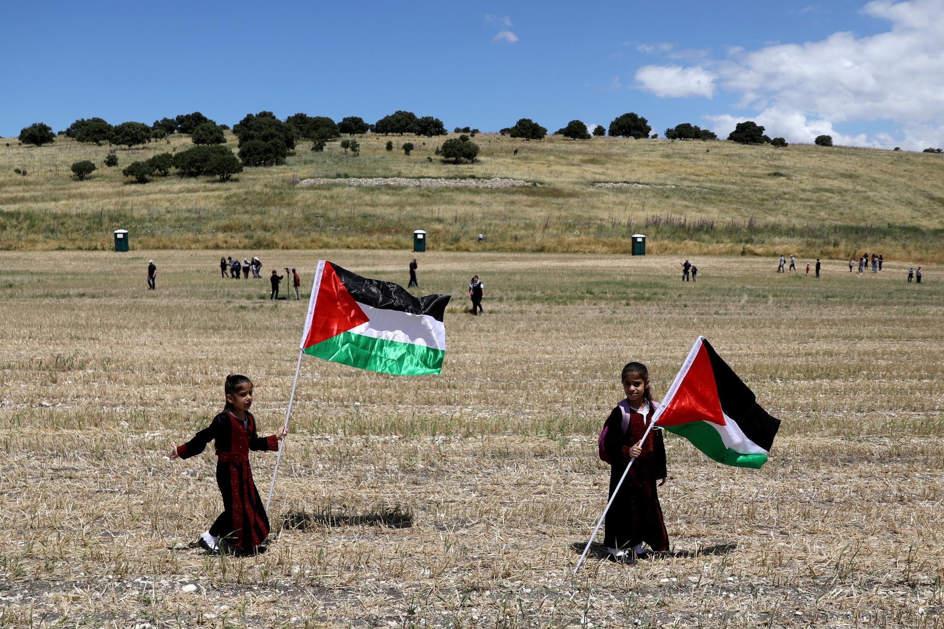 Children wave Palestinian flags in an open field.