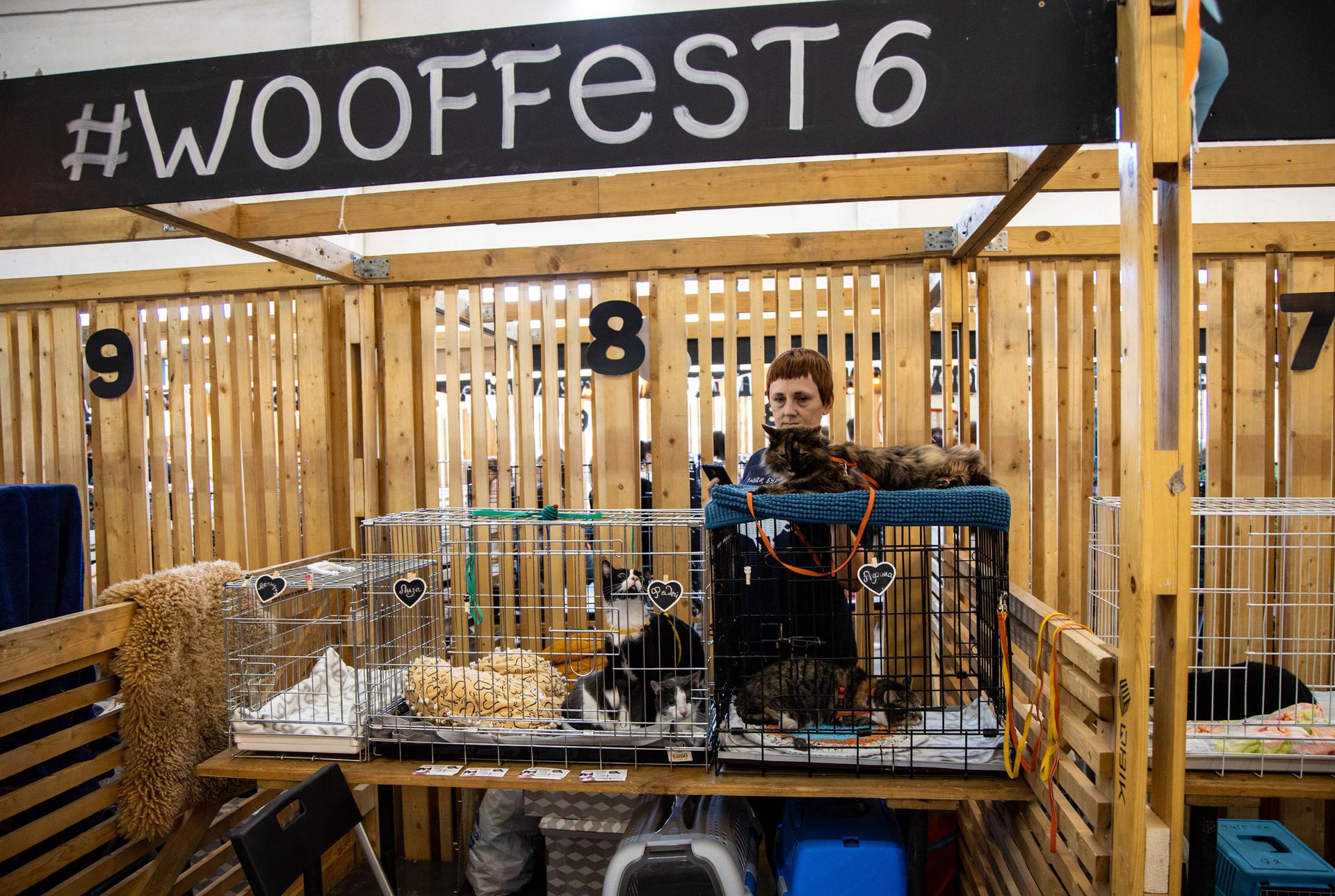 A woman is shown standing behind three cats in cages below a wooden sign that says, 
