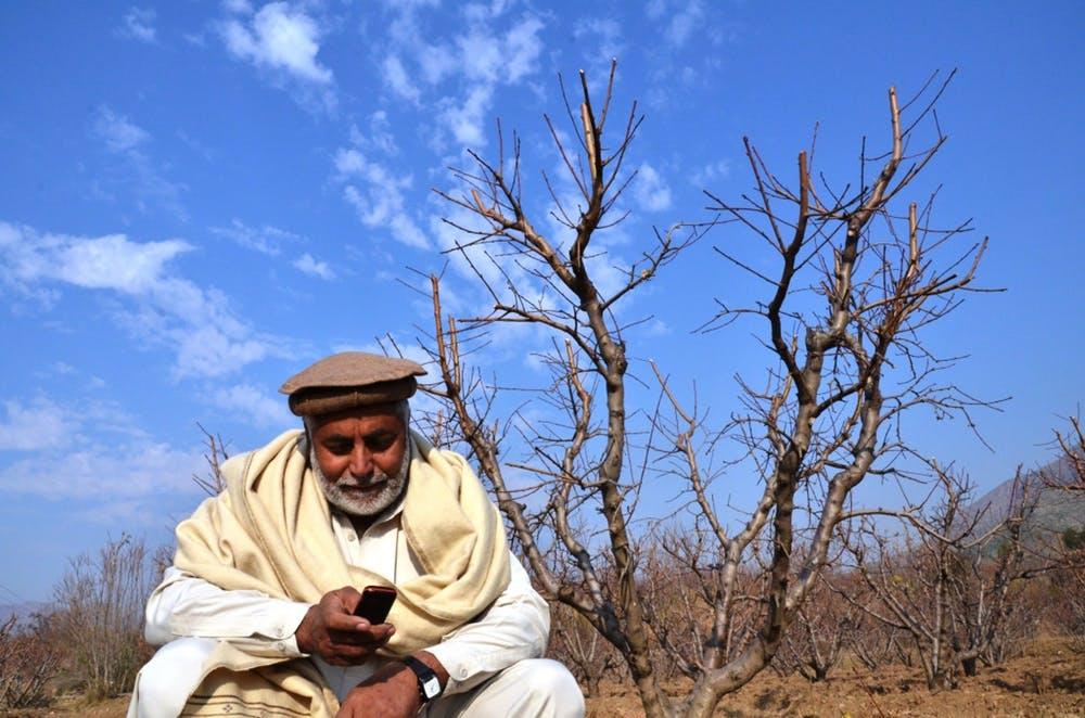 A Pakistani farmer reads a text alert on best farming practices.