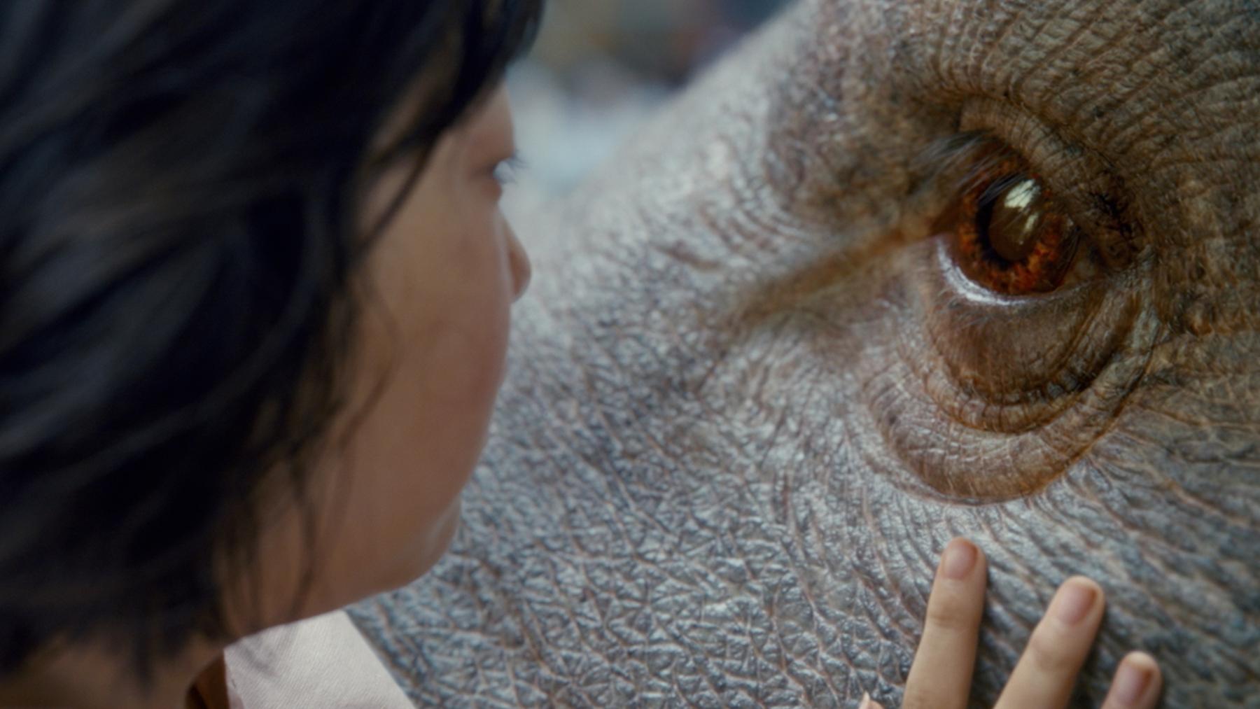 The movie's protagonist Mija forms a deep bond with her giant pet Okja.