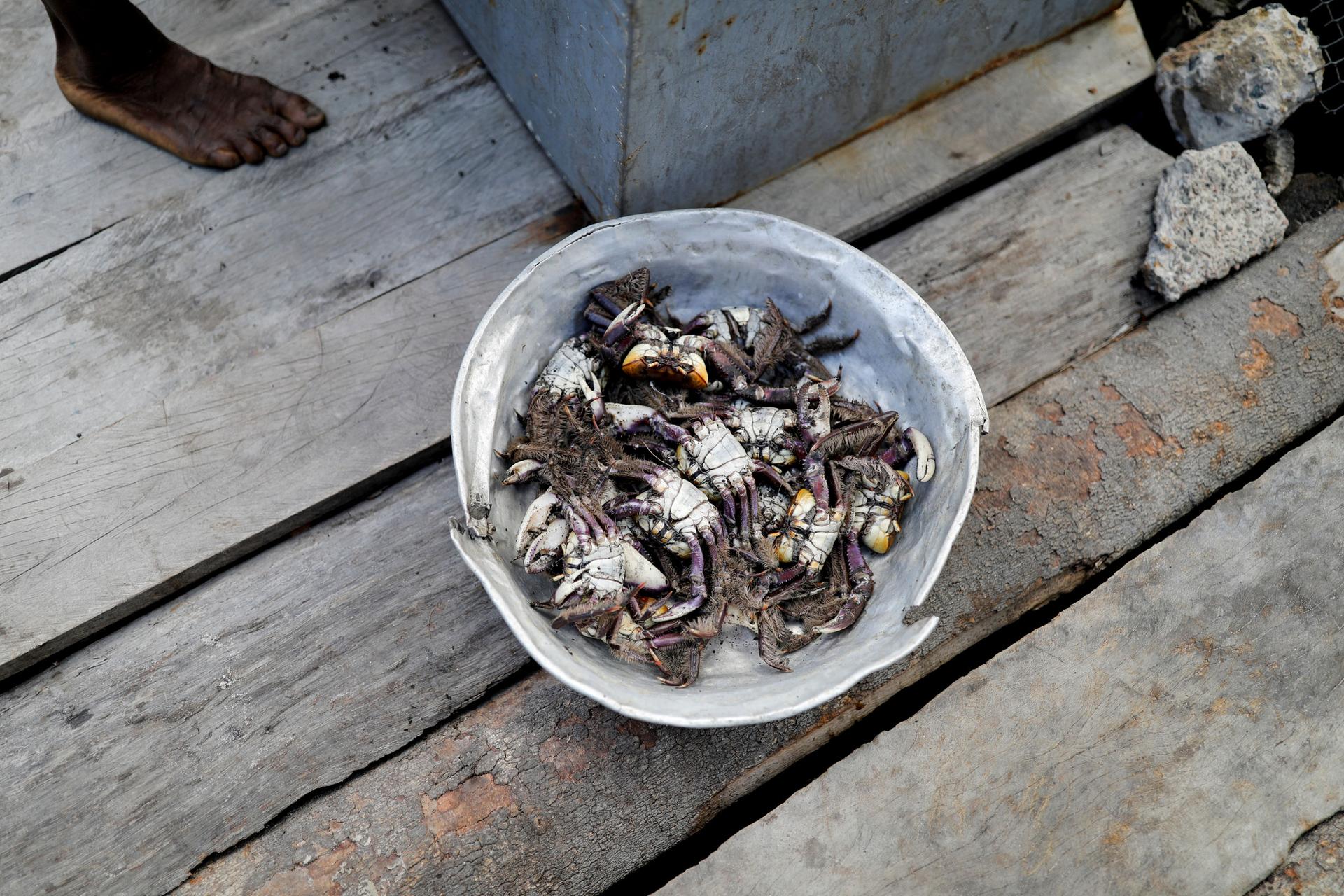 A bowl of crabs is shown sitting on a wooden porch.