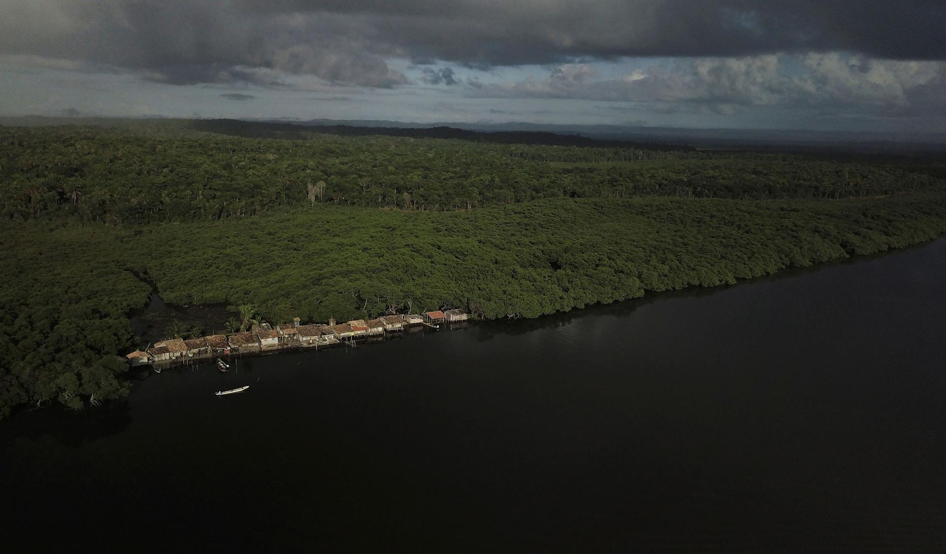 A photograph taken from above shows a small village set alongside a mangrove forest.