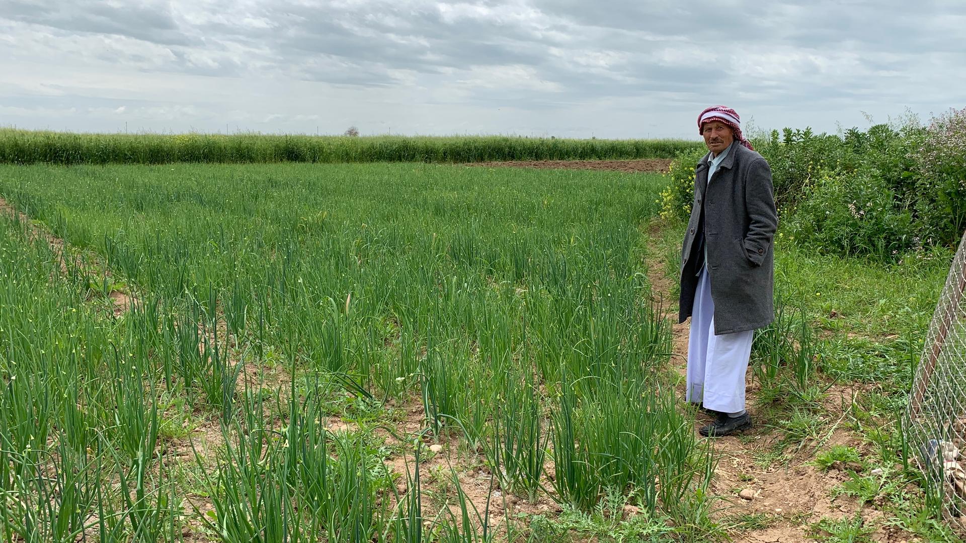A Yazidi man stands by a field of green on a sunny day. 