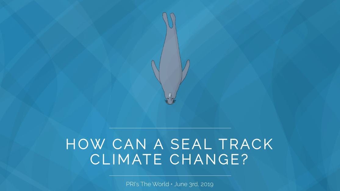 Headline reads, "How can a seal track climate change?" with an animated elephant seal