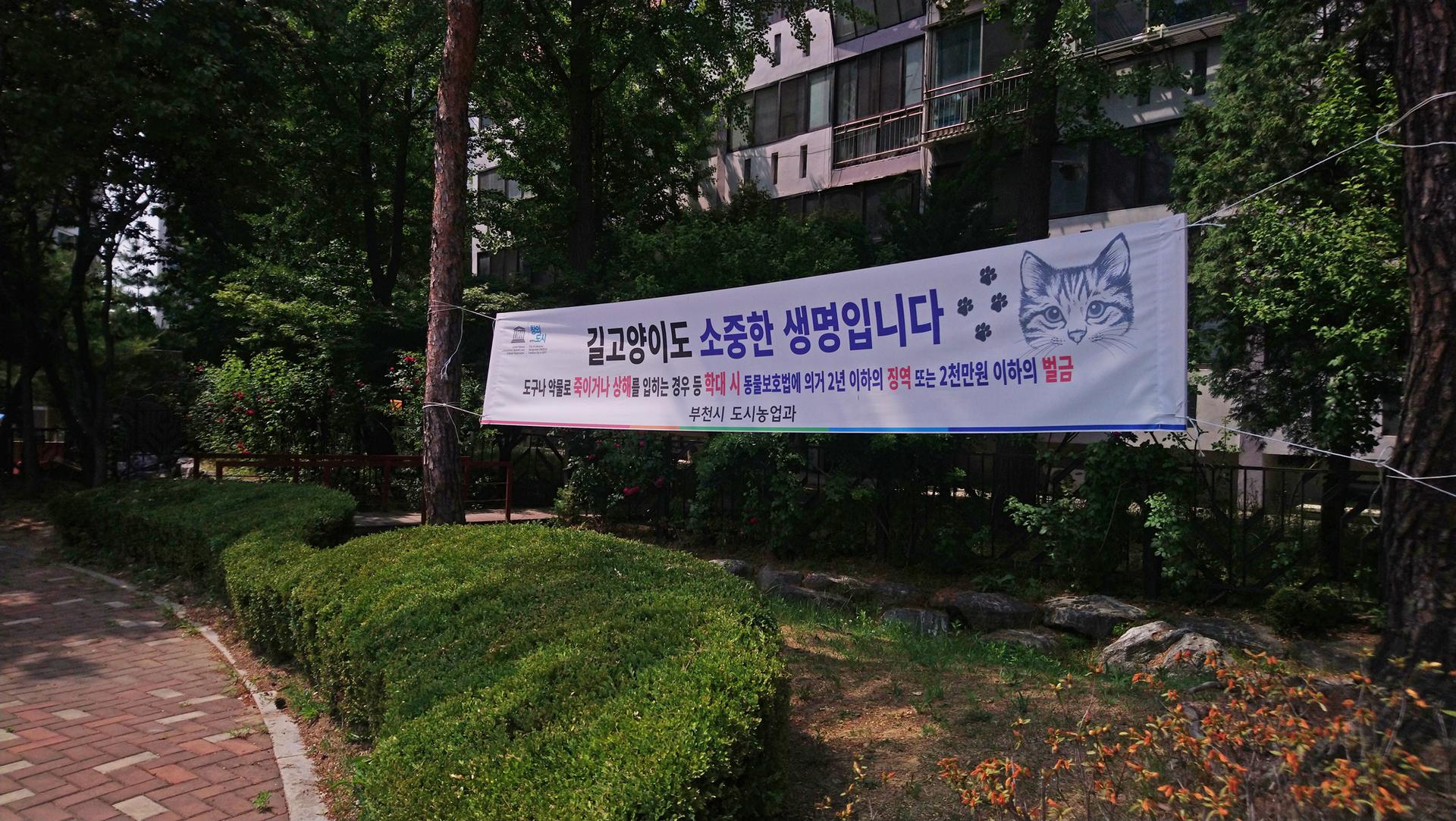 banner with cat face and Korean lettering promoting cat coexistence