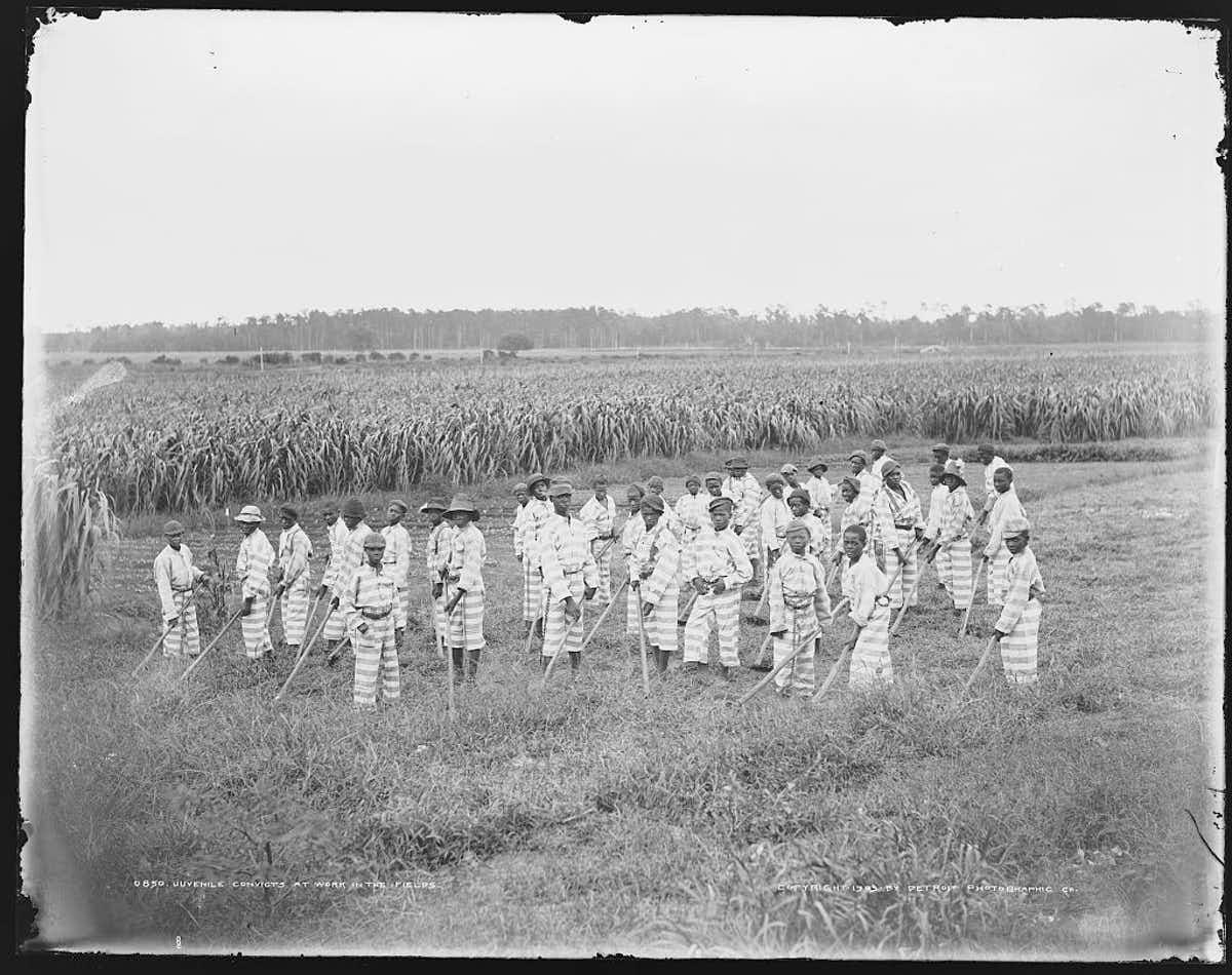 Juvenile convicts are shown at work in the fields, location unknown.