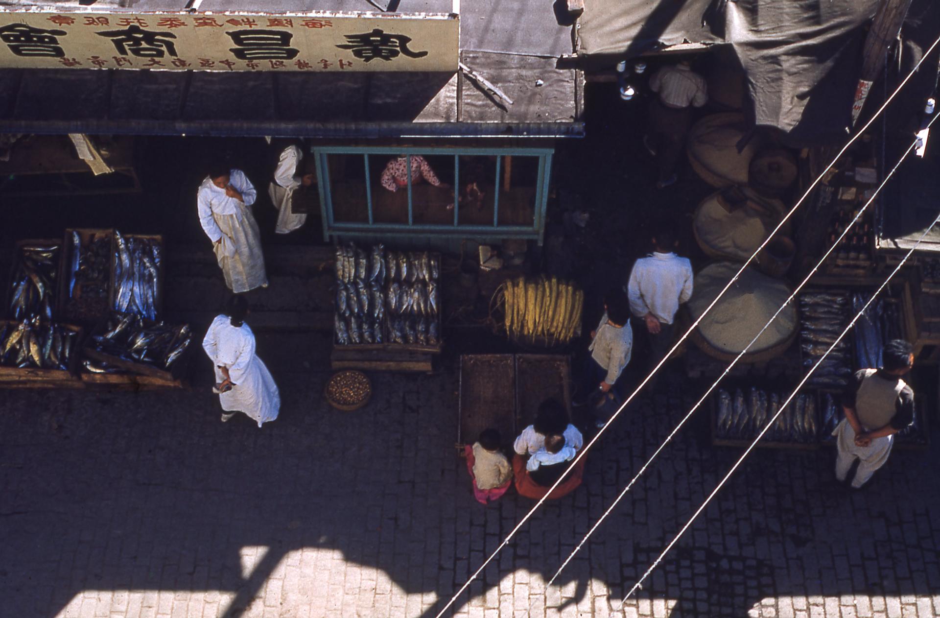 korean fish store in the 1950s