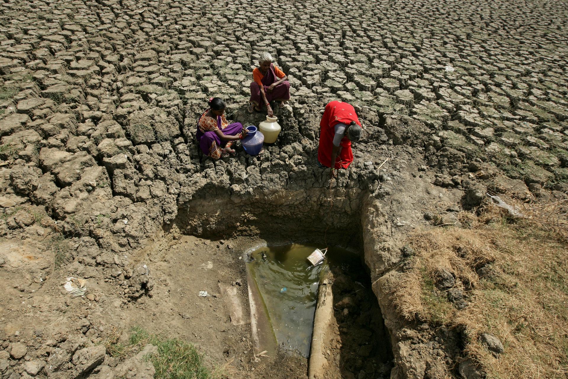 Women fetch water from an opening made by residents at a dried-up lake in Chennai, India, June 11, 2019.