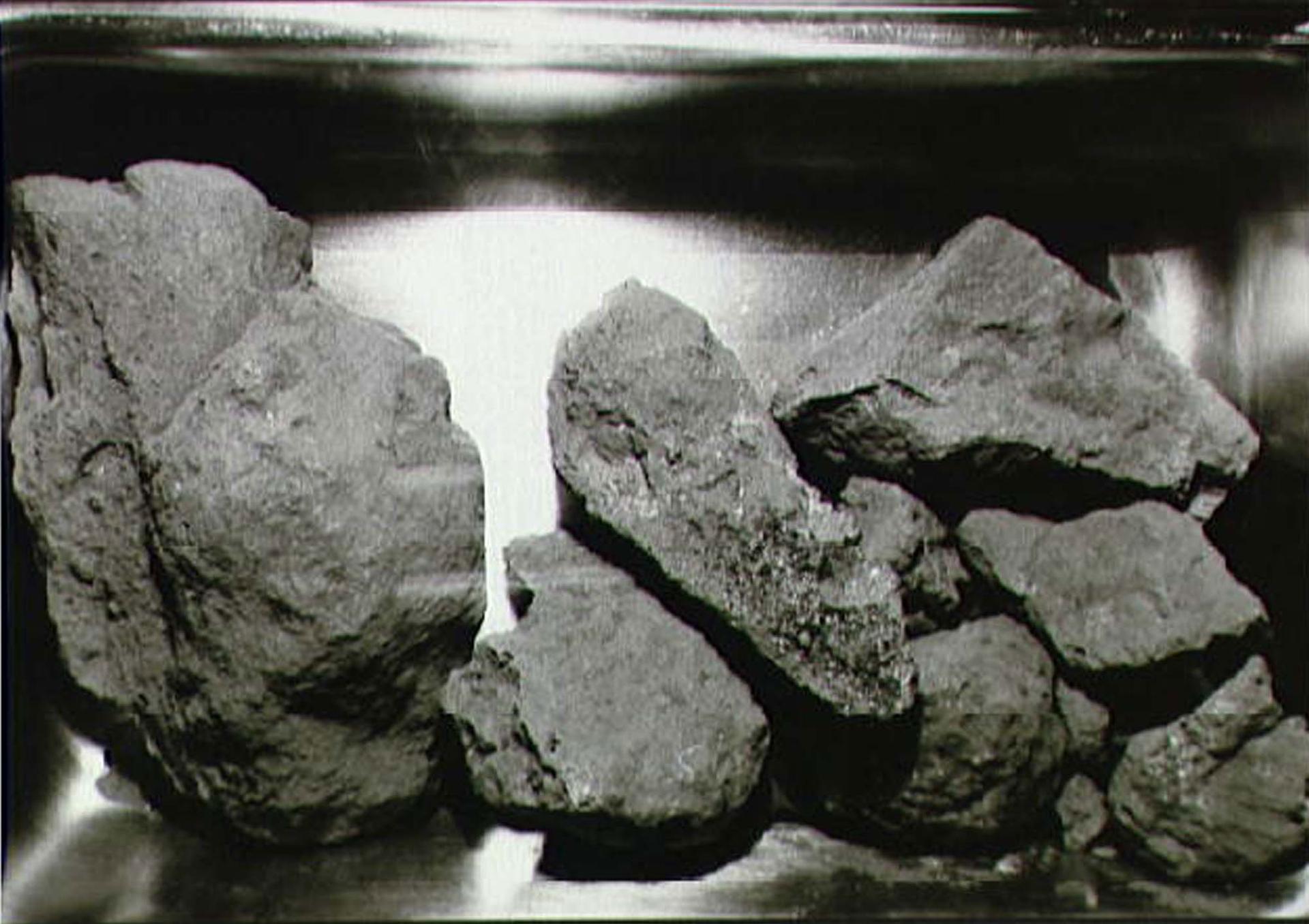 Several rocks from the surface of the moon are shown next to each other.