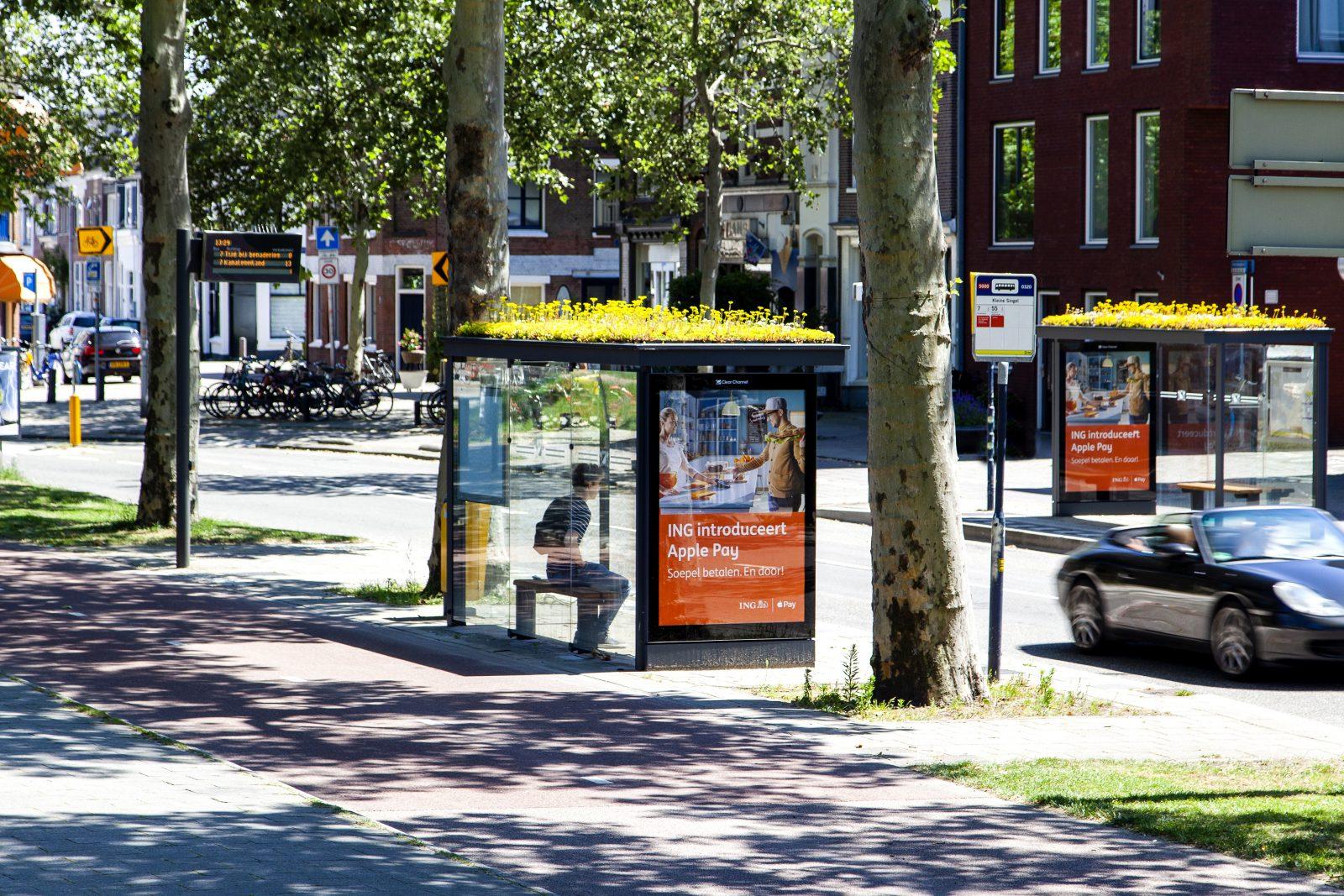 A bus shelter in the city of Utrecht with yellow flowers planted on the roof.