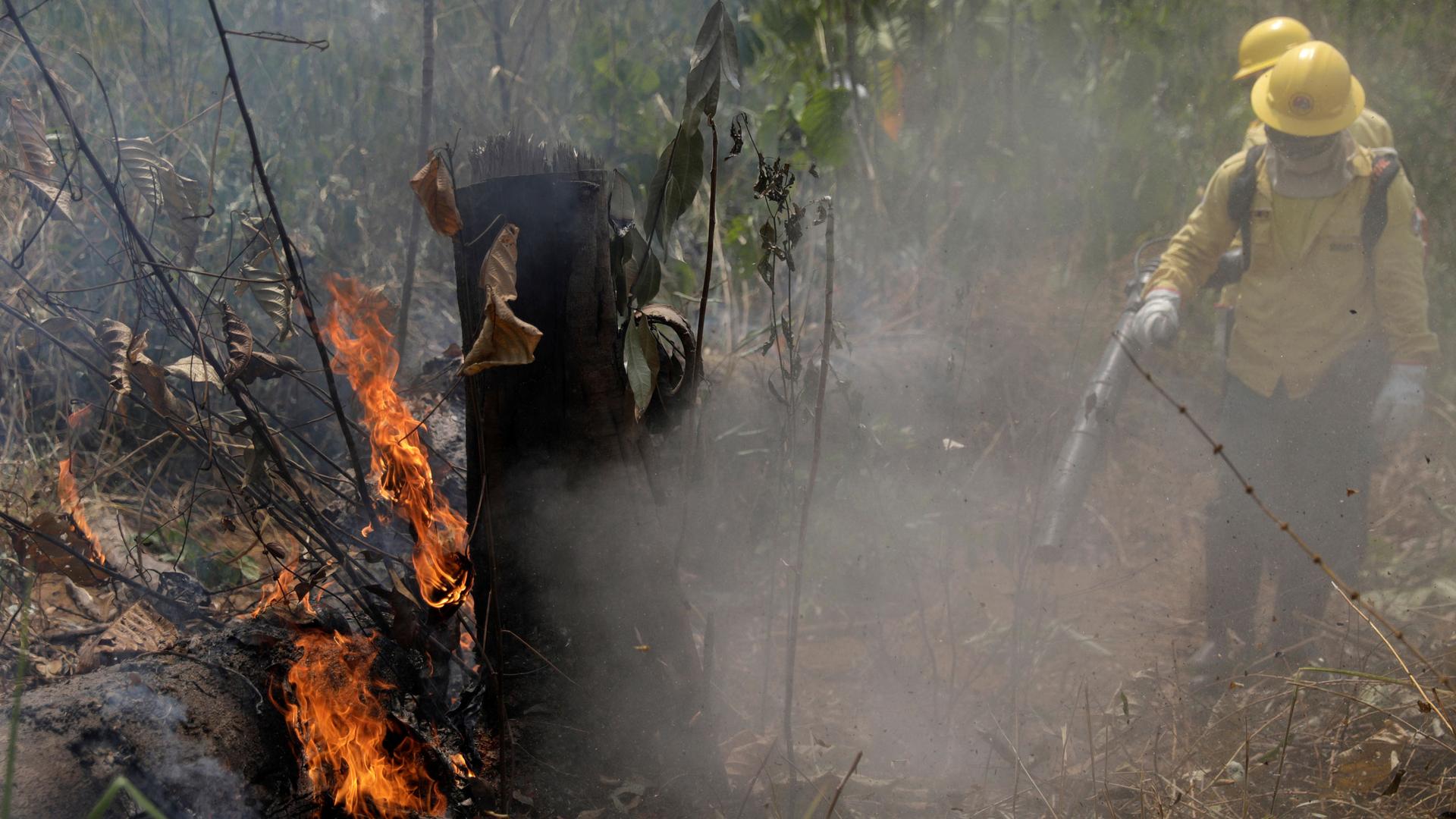 Firefighters extinguish a fire in Amazon jungle in Porto Velho, Brazil, on August 25, 2019.