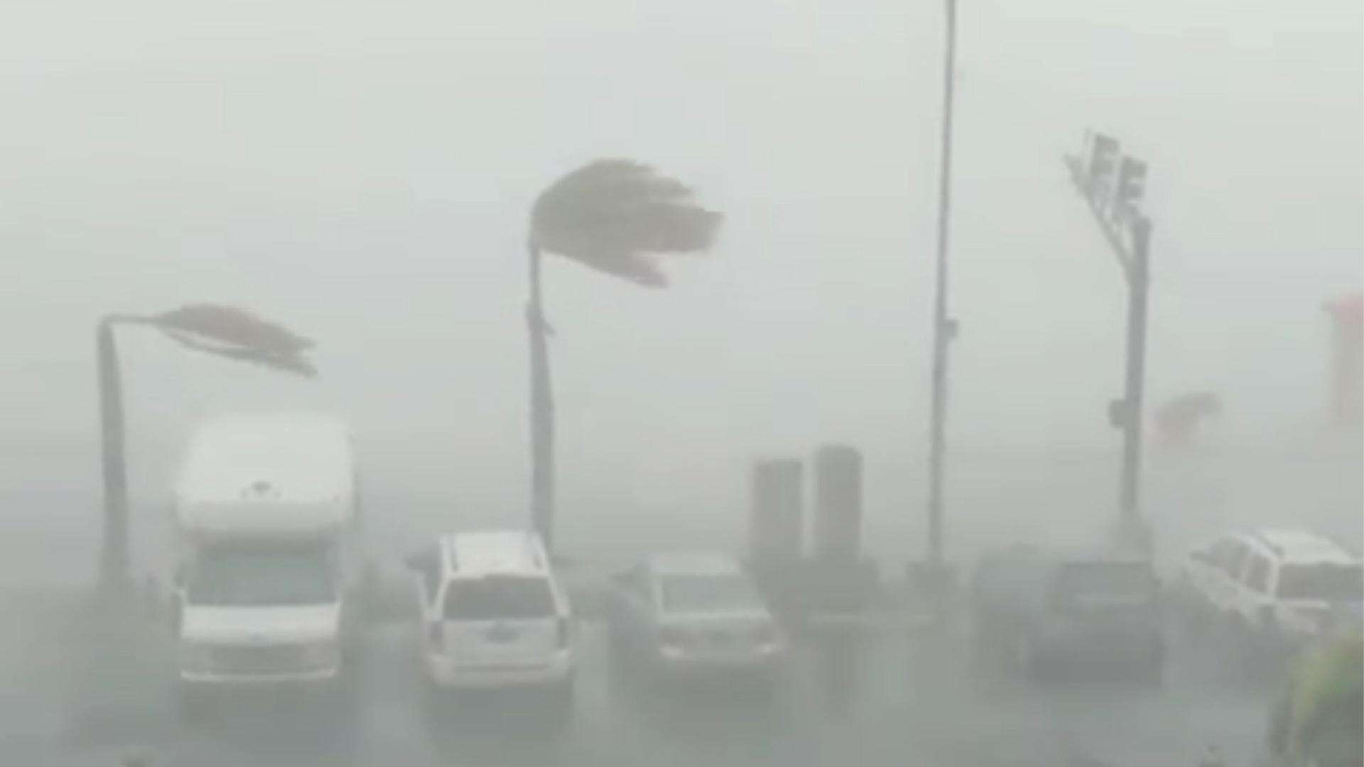 Category-1 strength winds bend palm trees as Hurricane Dorian slams into St. Thomas, US Virgin Islands on Aug. 28, 2019.