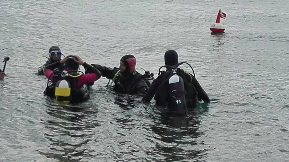 several people in water in scuba gear
