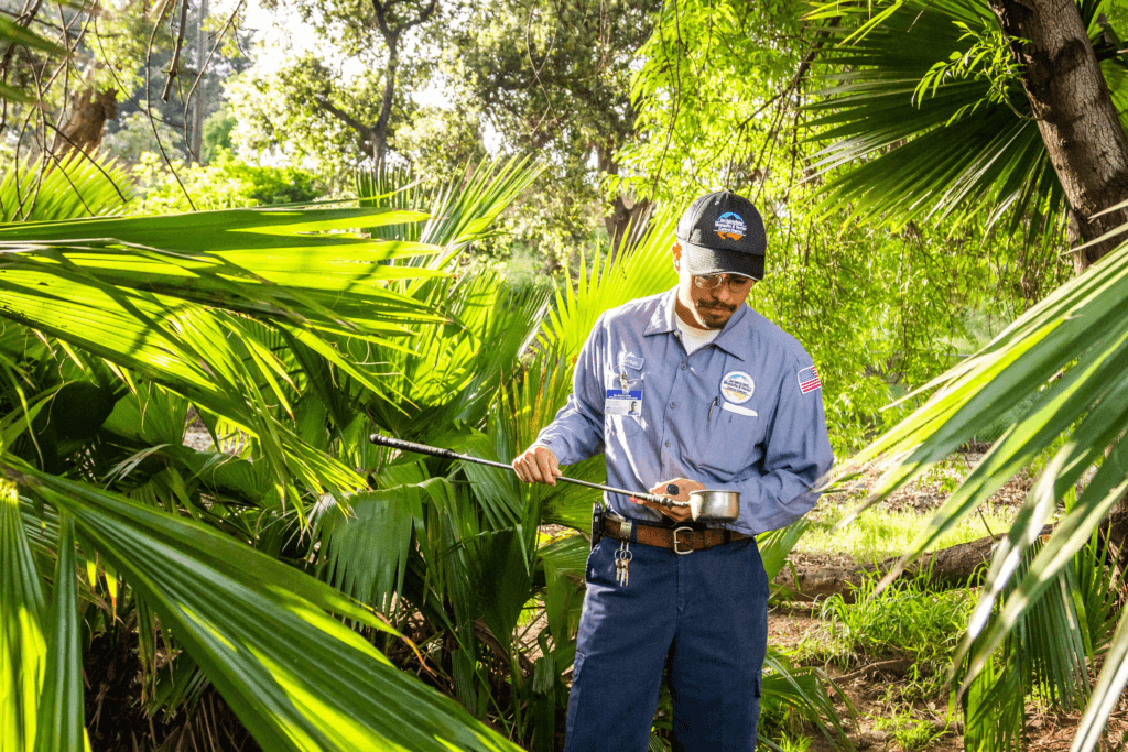 Steven Gallegos, a vector control specialist with the San Gabriel Valley Mosquito & Vector Control District, inspects a water sample at a park in Covina, California, to check for mosquito larvae.