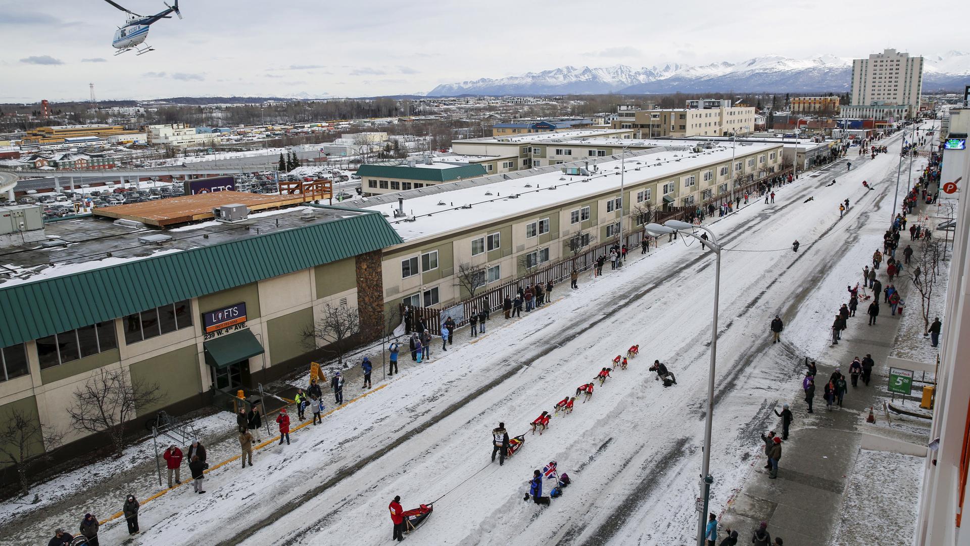 A cityscape of Anchorage, Alaska with dog-sled racers and mountains