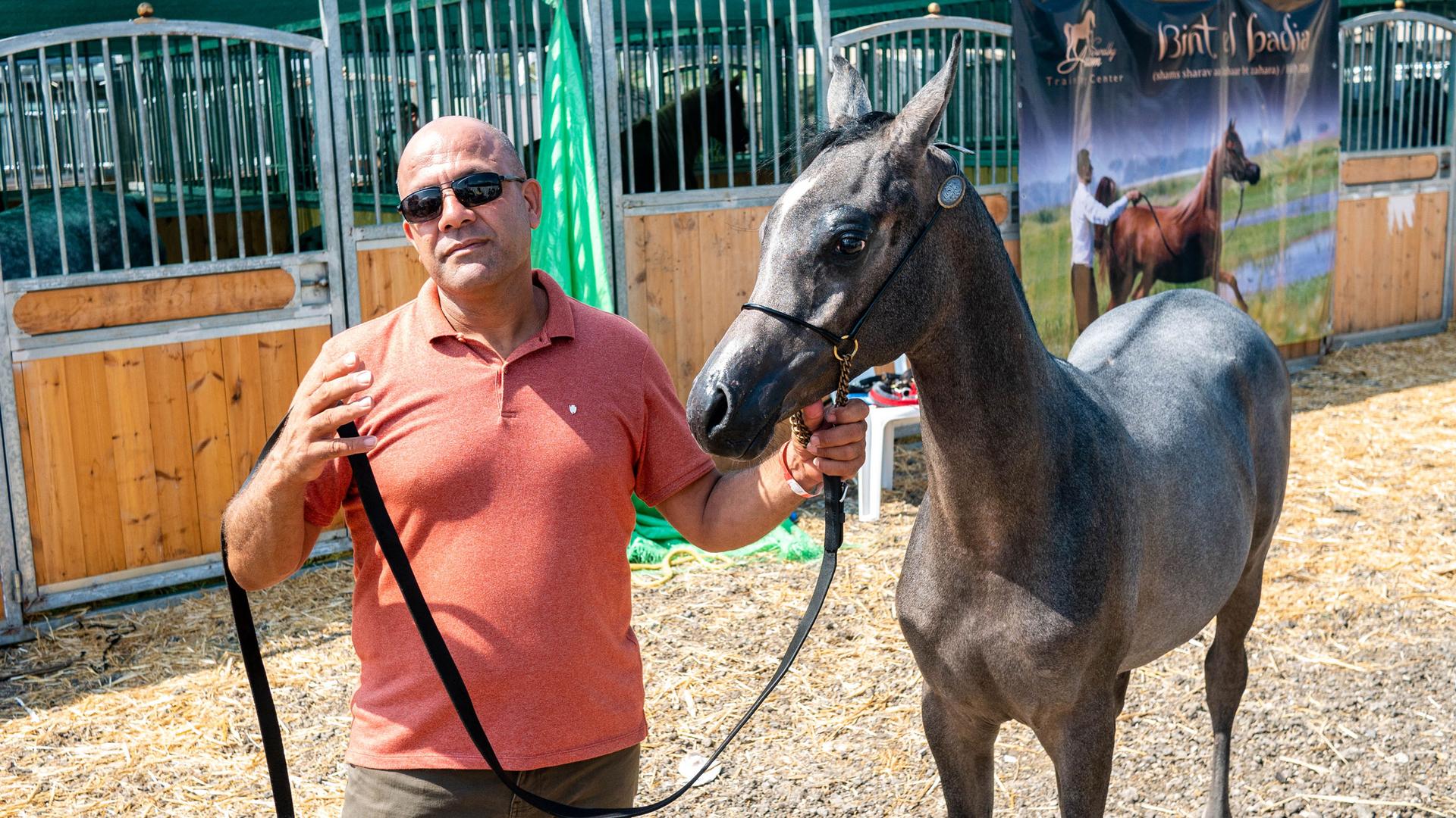 A man is shown wearing a salmon-colored collard shirt and sunglasses while holding the reins of a horse.
