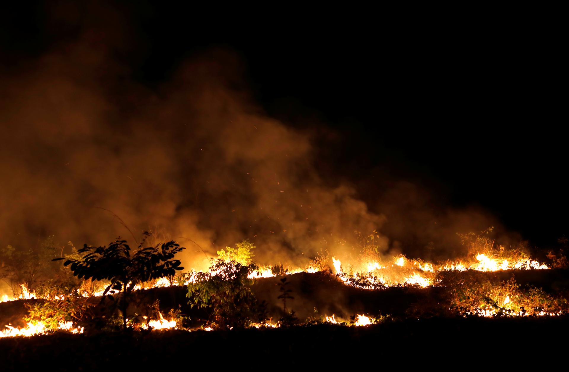 Red and orange blazing fires in Amazon forest 