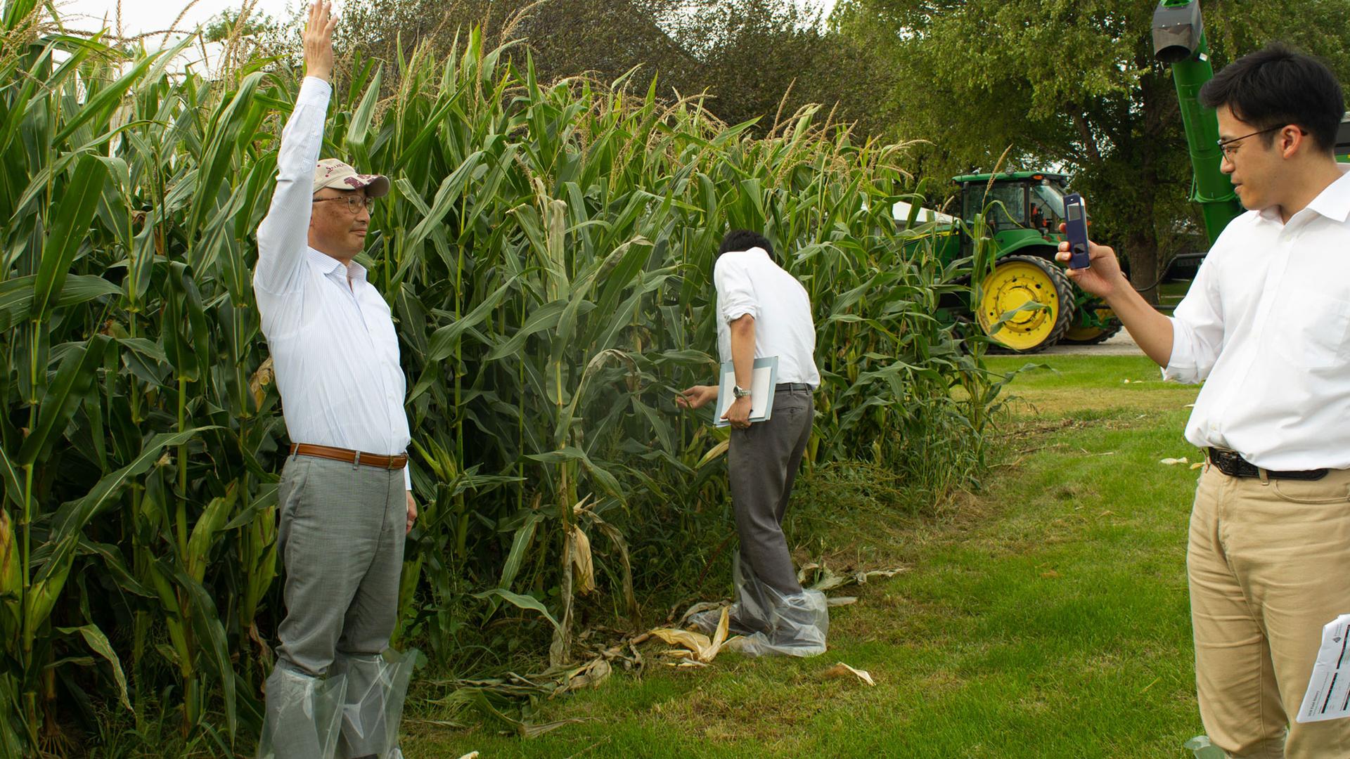 Grain buyers from Japan check out the corn on Rod Pierce's farm near Woodward, Iowa. 