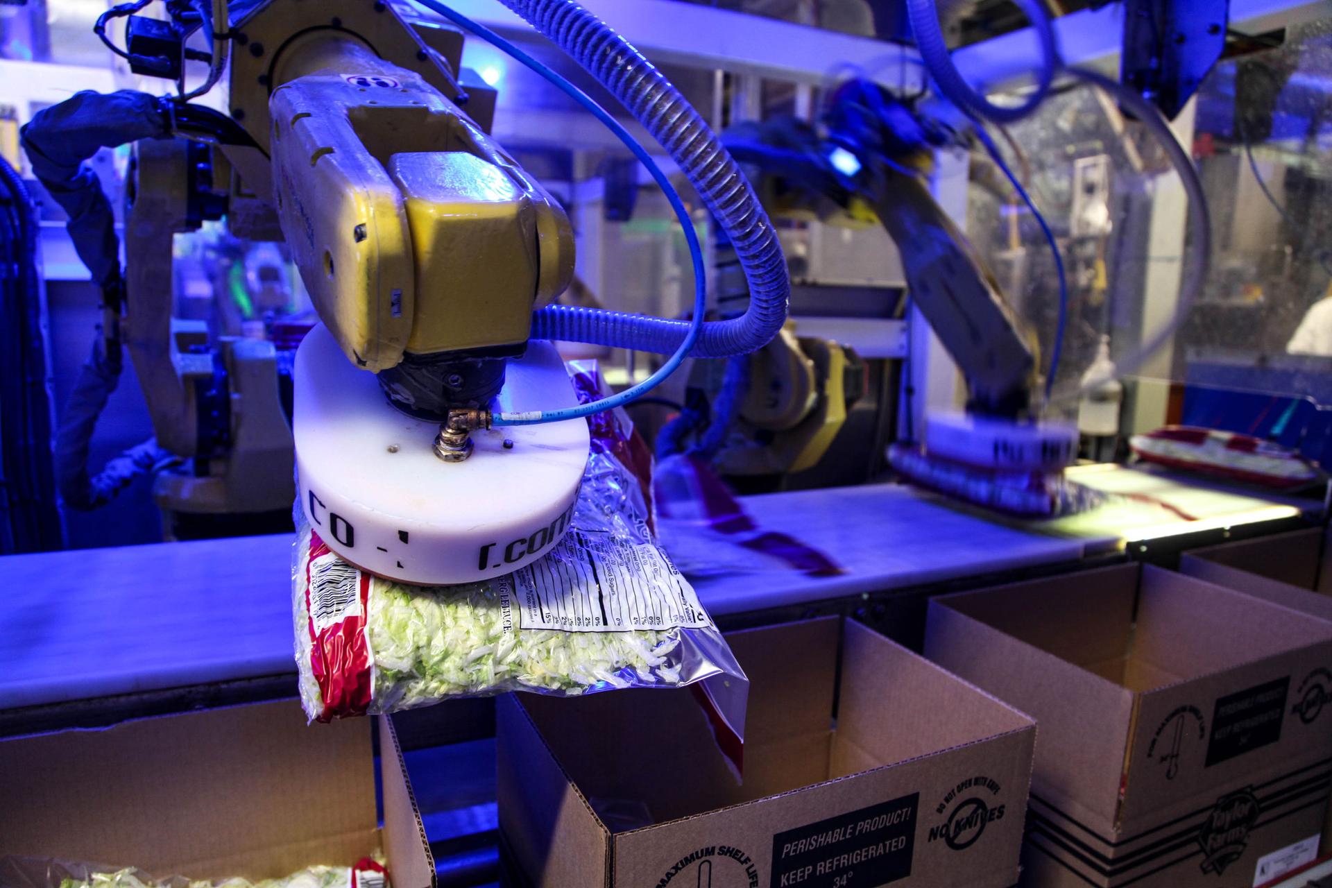 A robot uses suction to pick up a 5-lb back of lettuce and place it in a box. This task used to be done by workers.