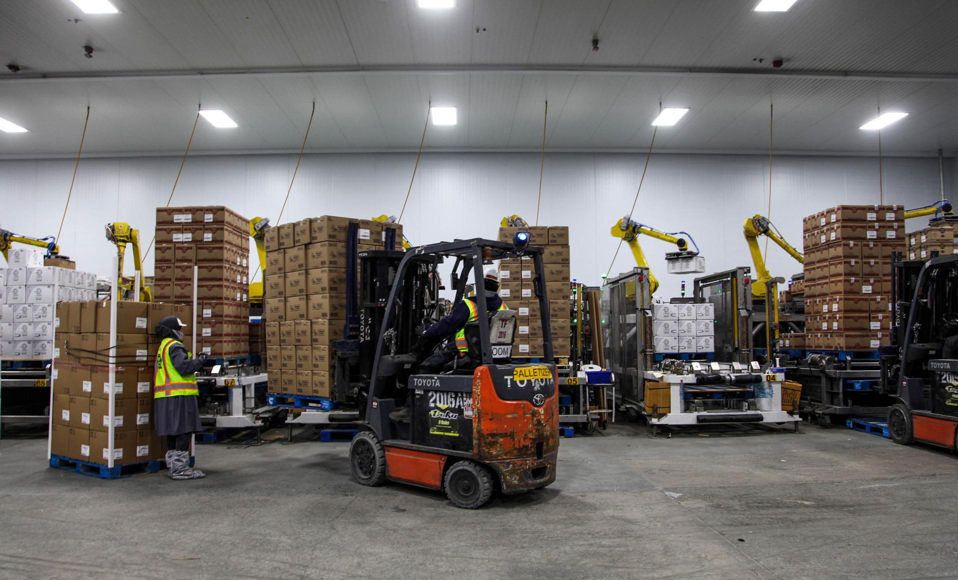 Robots stack 20-pound boxes into pallets at Taylor Farms on September 10, 2019.