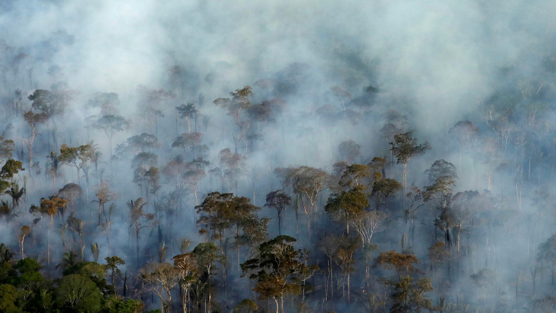 Smoke billows during a fire in an area of the Amazon rainforest near Porto Velho, Rondonia State, Brazil, Sept. 10, 2019. Picture taken Sept. 10, 2019. 