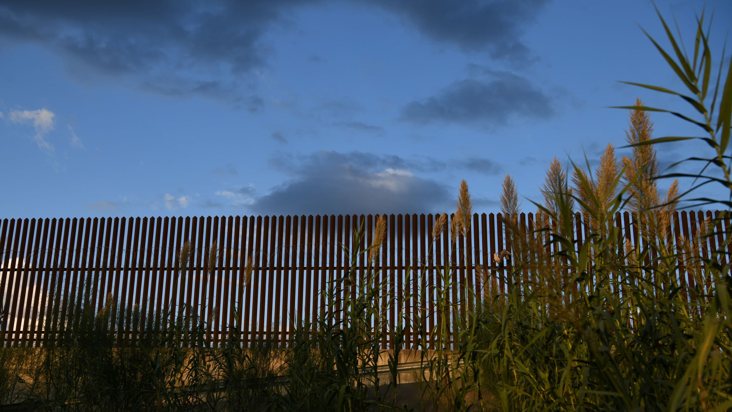 A section of a slatted border fence is shown with greenery in the nearground and dark clouds in the distance.
