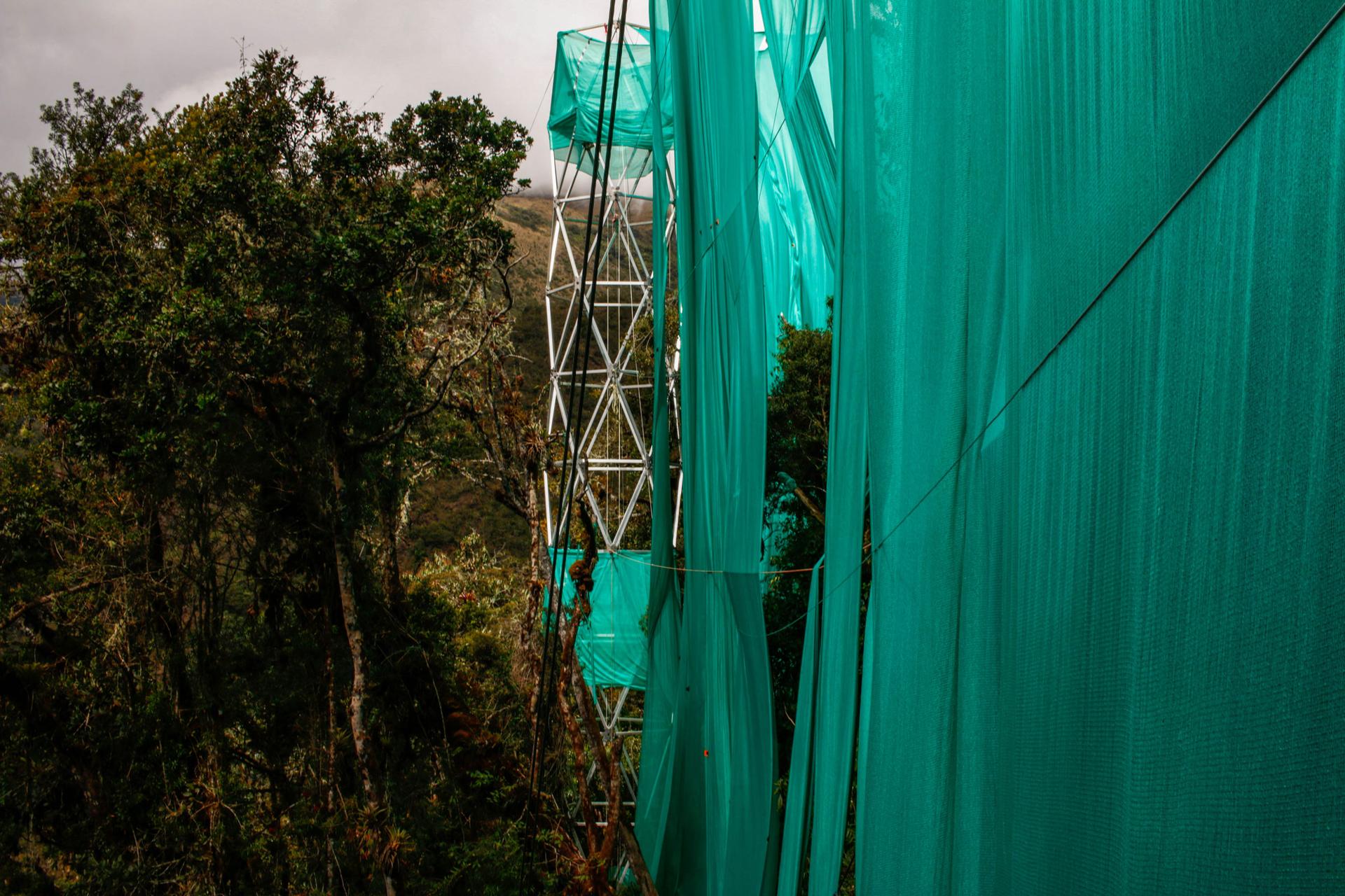 A large green curtain is shown next to scafolding among the trees.