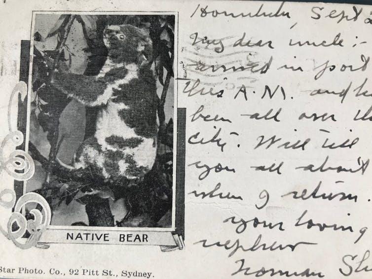 An old postcard featuring a Koala.