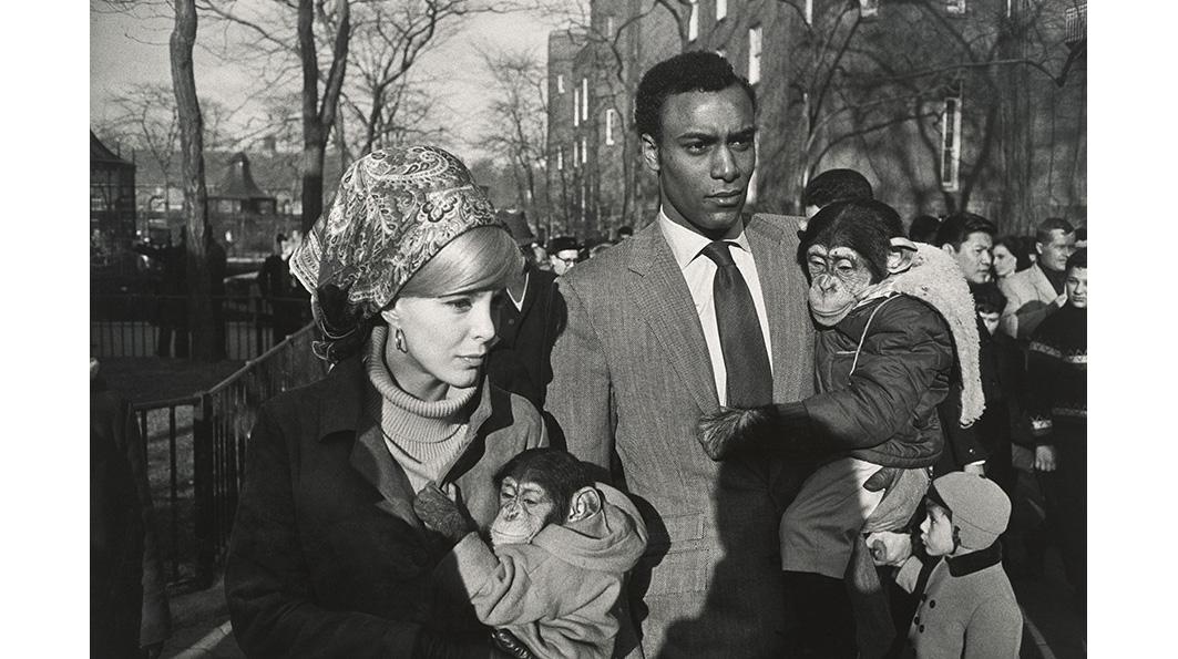 Garry Winogrand, "Central Park Zoo."