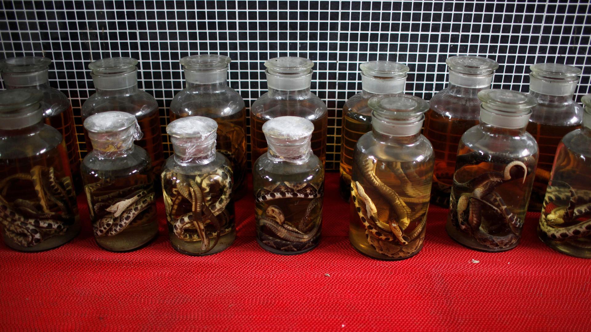 Dead snakes are preserved in jars at a snake farm in Zisiqiao village, Zhejiang province, China, on Feb. 22, 2013. 