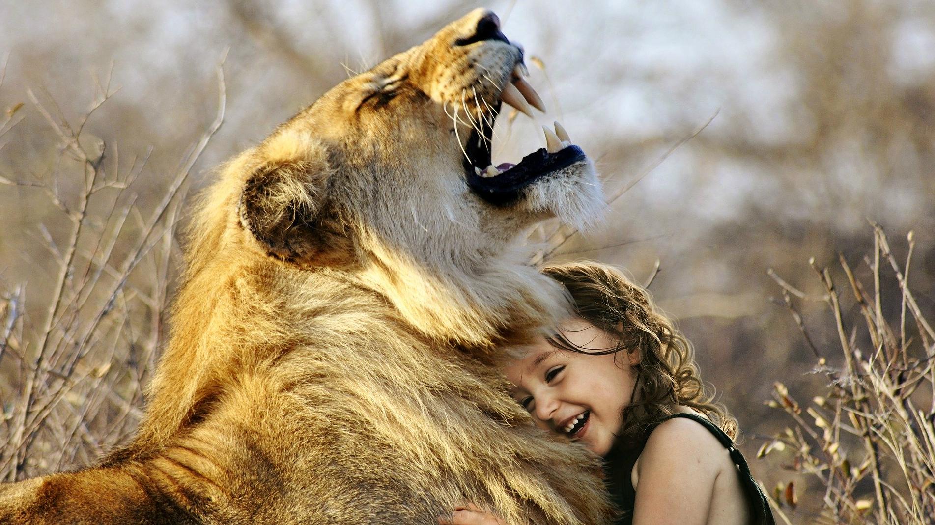 Child hugging lion, roar